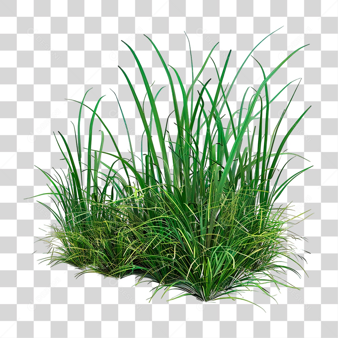 Elemento 3D Grama Verde PNG Transparente