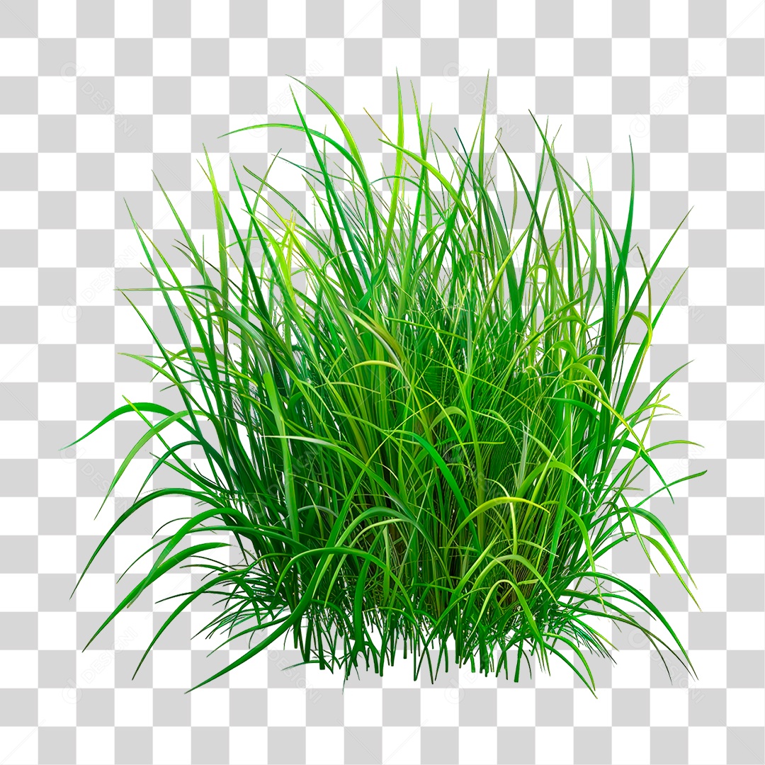 Elemento 3D Grama Verde PNG Transparente