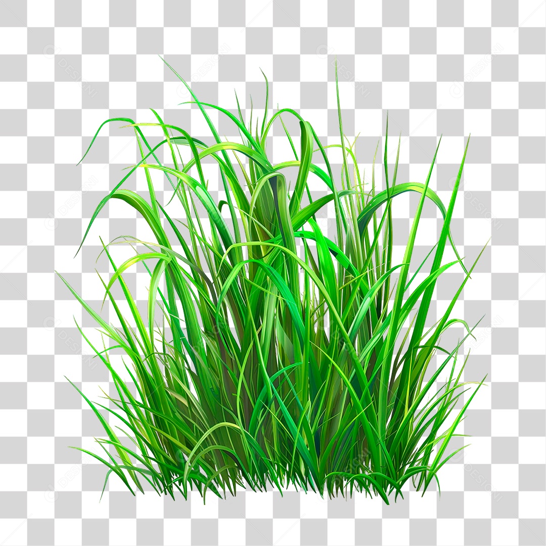 Elemento 3D Grama Verde PNG Transparente