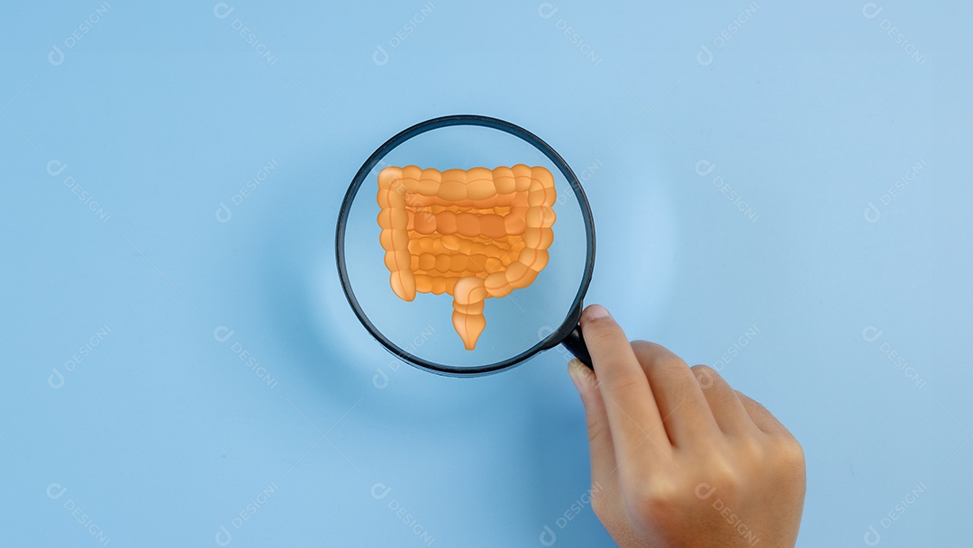 Uma mão segura uma lupa sobre o desenho de um intestino grosso
