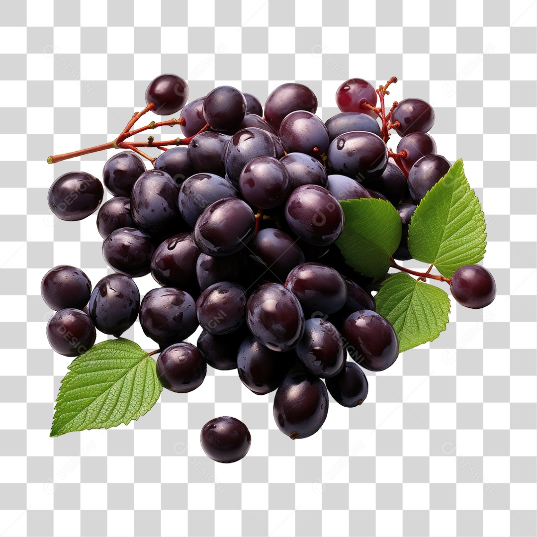 Fruta Açaí PNG Transparente