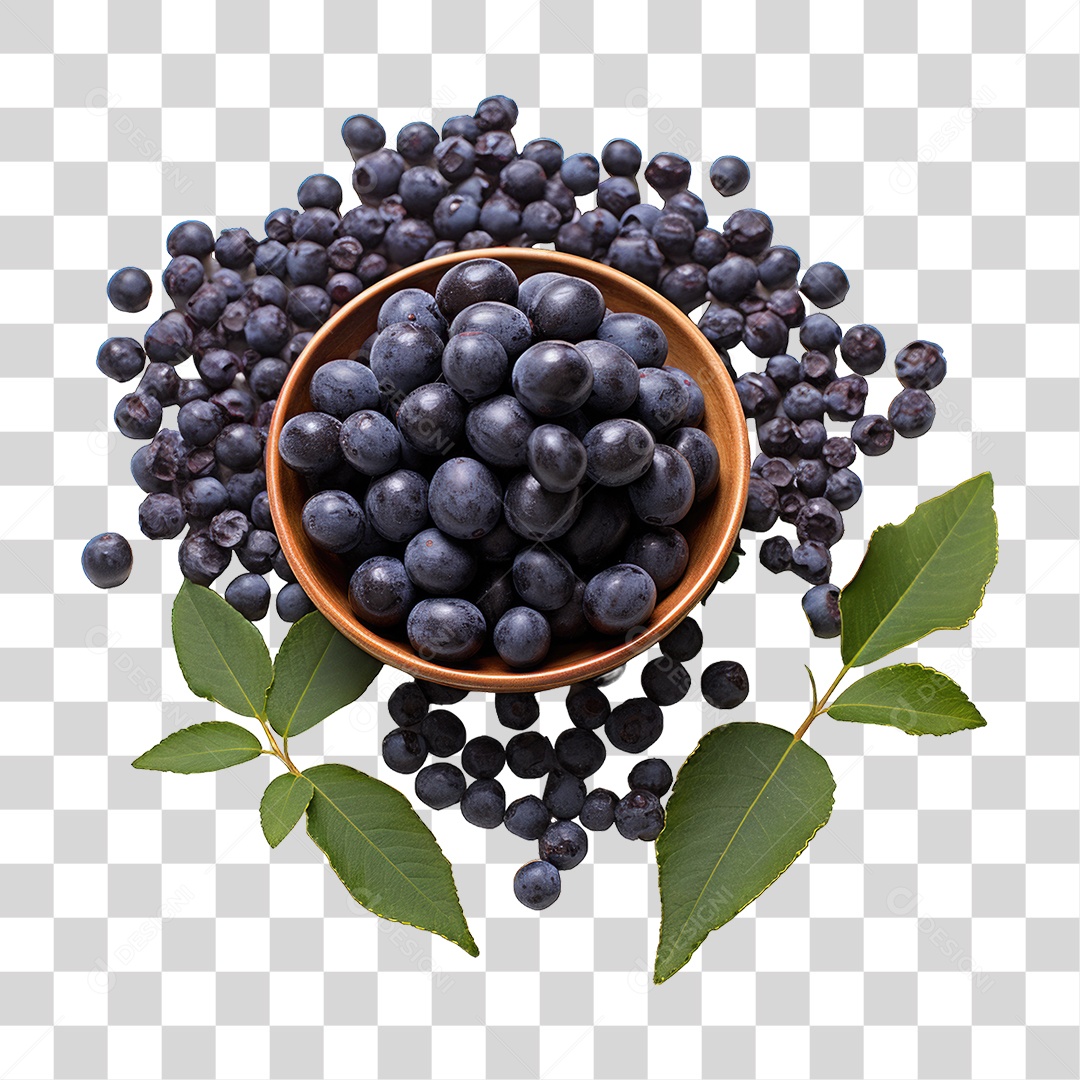 Fruta Açaí PNG Transparente