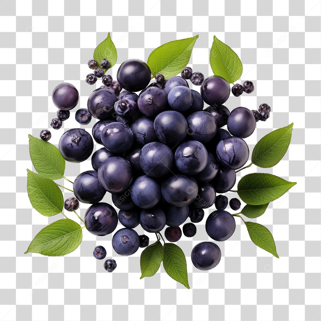 Fruta Açaí PNG Transparente