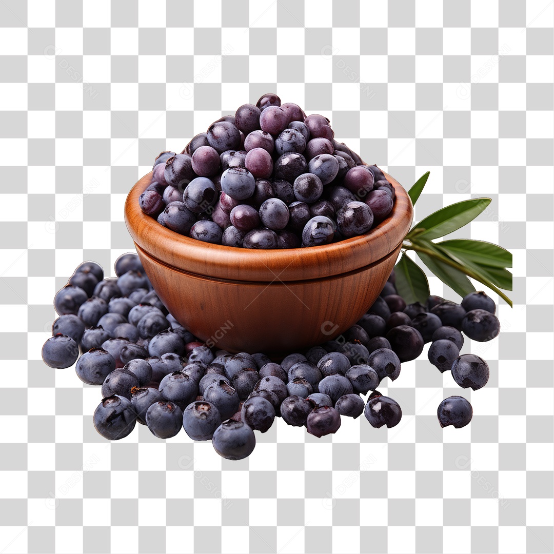 Fruta Açaí PNG Transparente