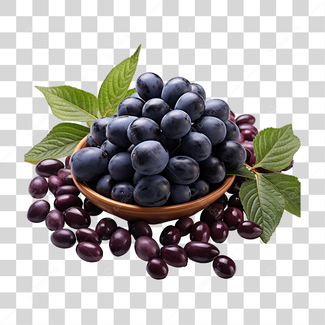 Fruta Açaí PNG Transparente