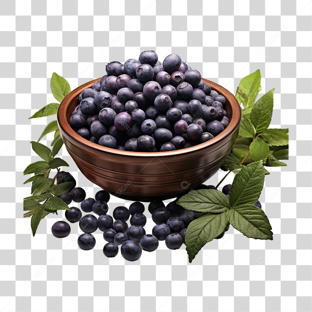 Fruta Açaí PNG Transparente