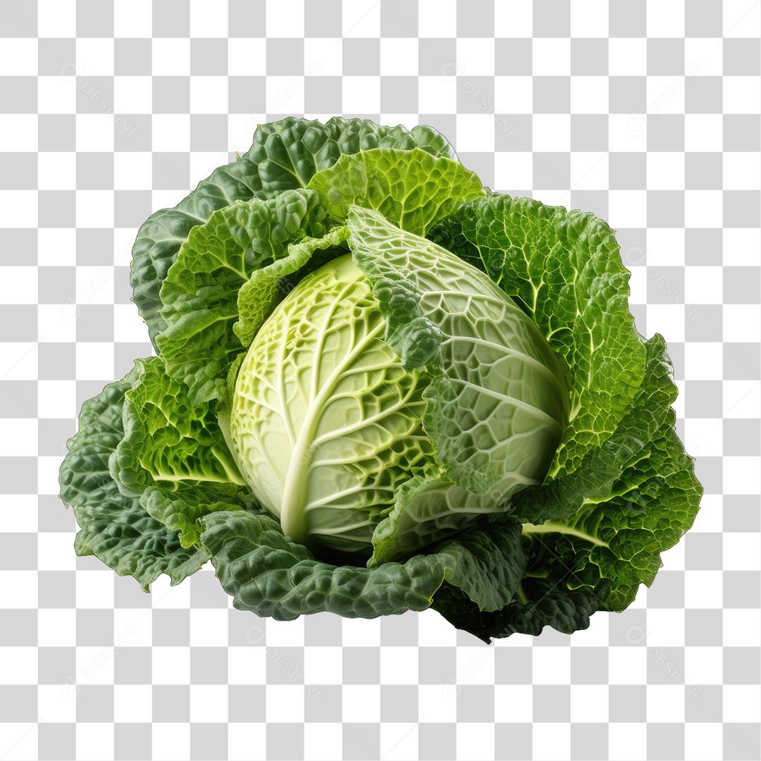 Legumes Repolho PNG Transparente