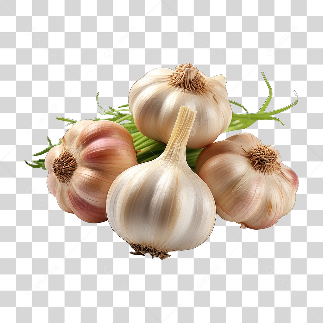 Dentes de Alho PNG Transparente