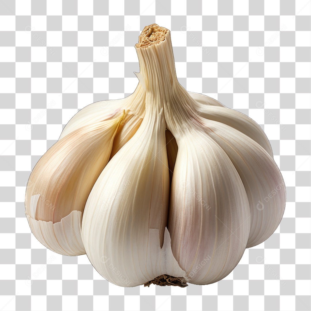 Dentes de Alho PNG Transparente