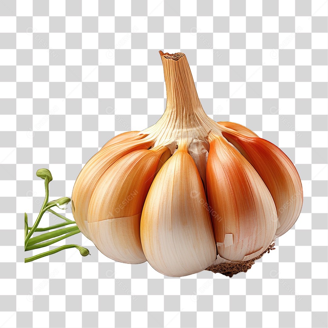 Dentes de Alho PNG Transparente