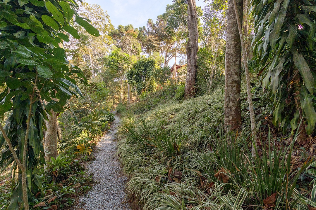 Serra de Itaipava em Petrópolis