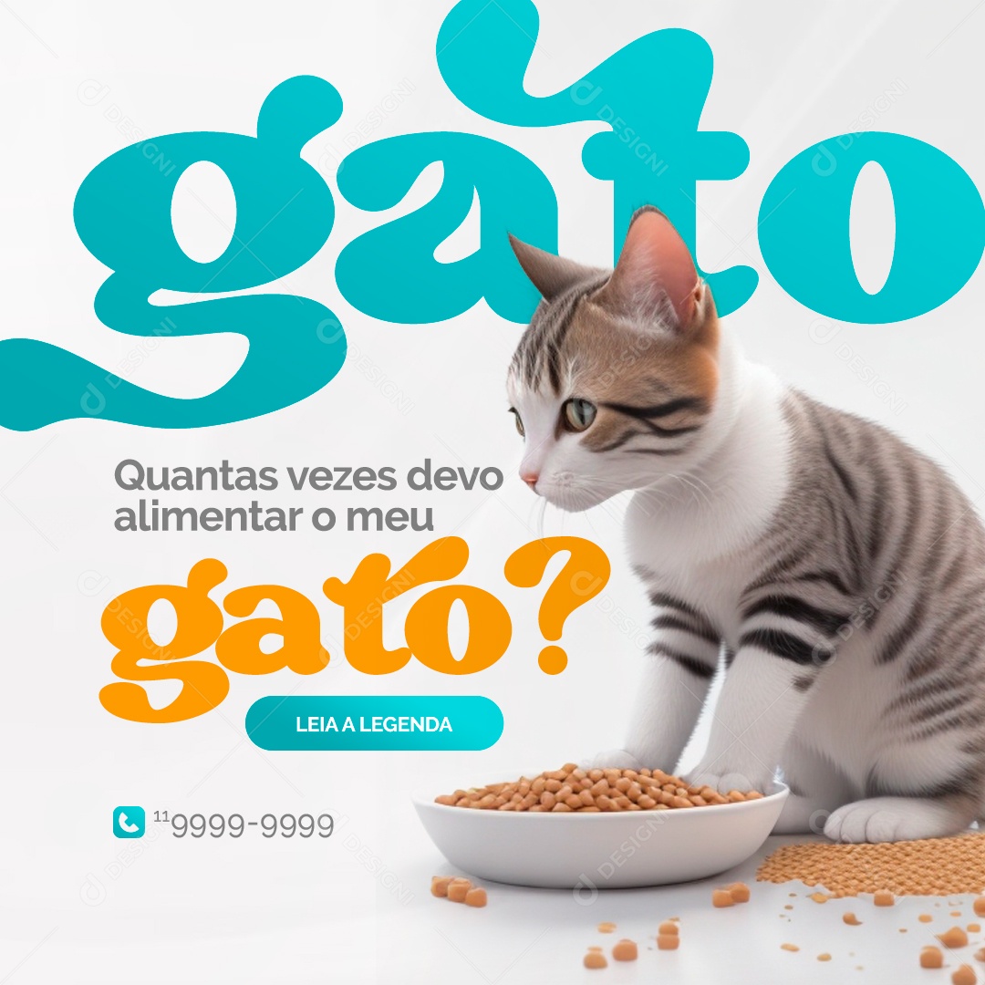 Quantas Vezes Devo Alimentar o meu Gato Social Media PSD Editável