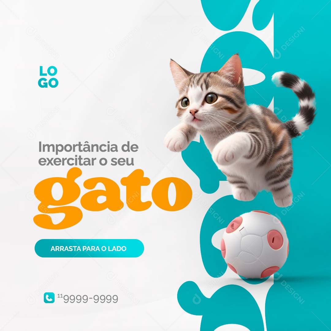 Importância de Exercitar o seu Gato Social Media PSD Editável