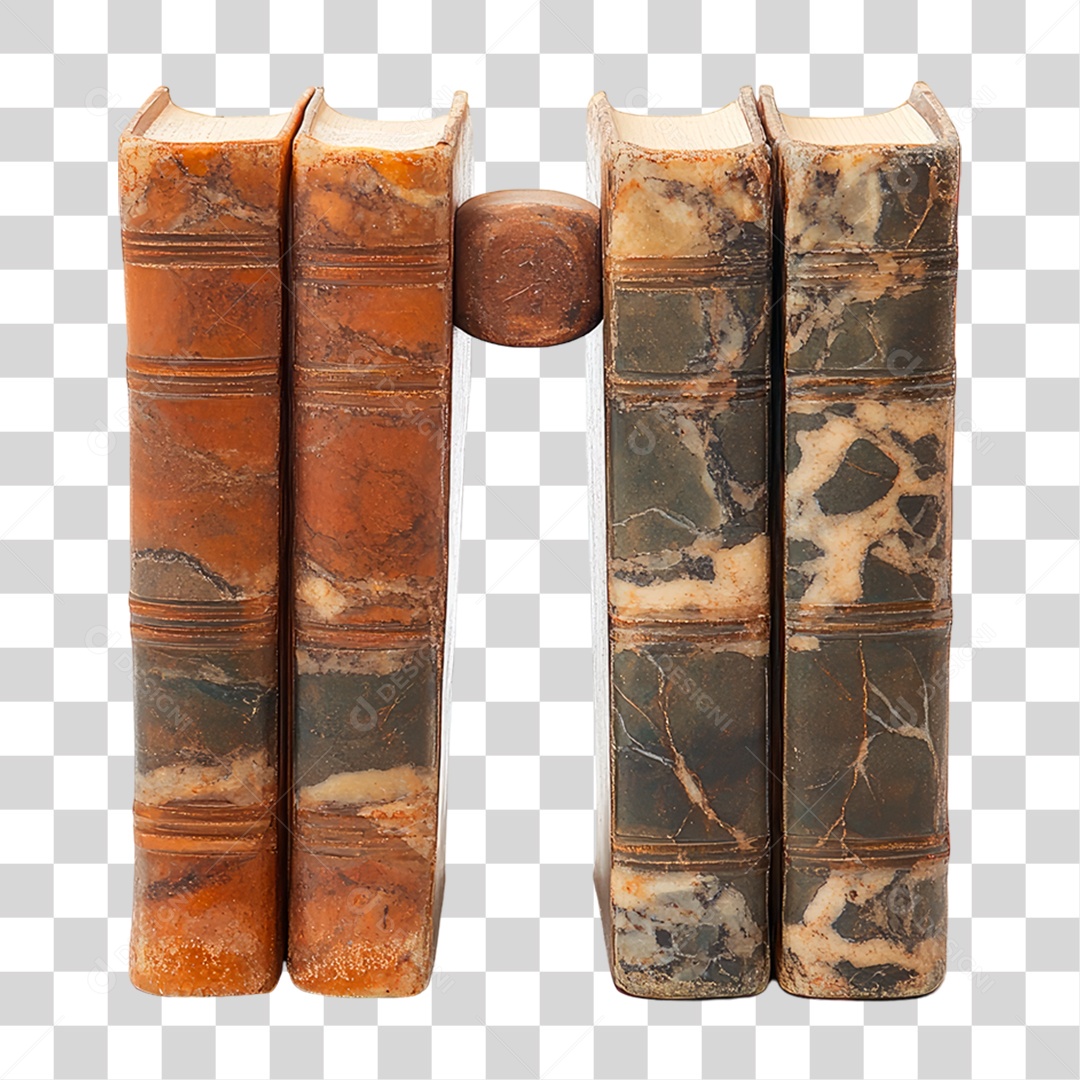 Par Aparadores de Livros PNG Transparente