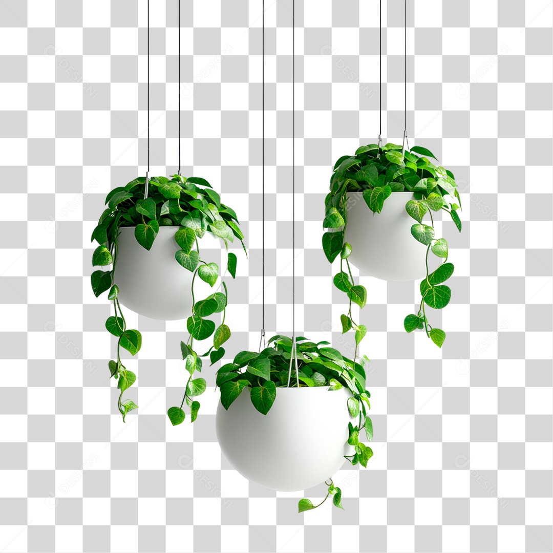 Planta Suspensa PNG Transparente