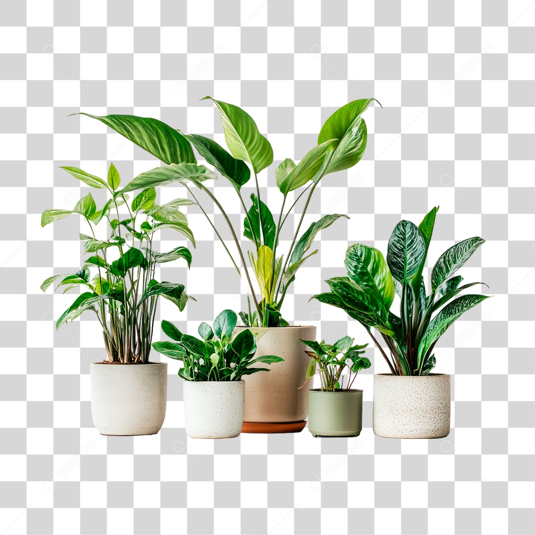 Vasos de Plantas PNG Transparente