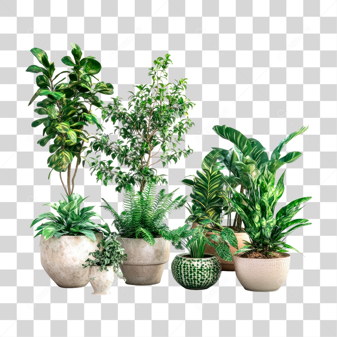 Vasos de Plantas PNG Transparente