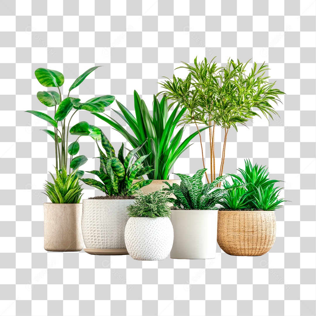 Vasos de Plantas PNG Transparente