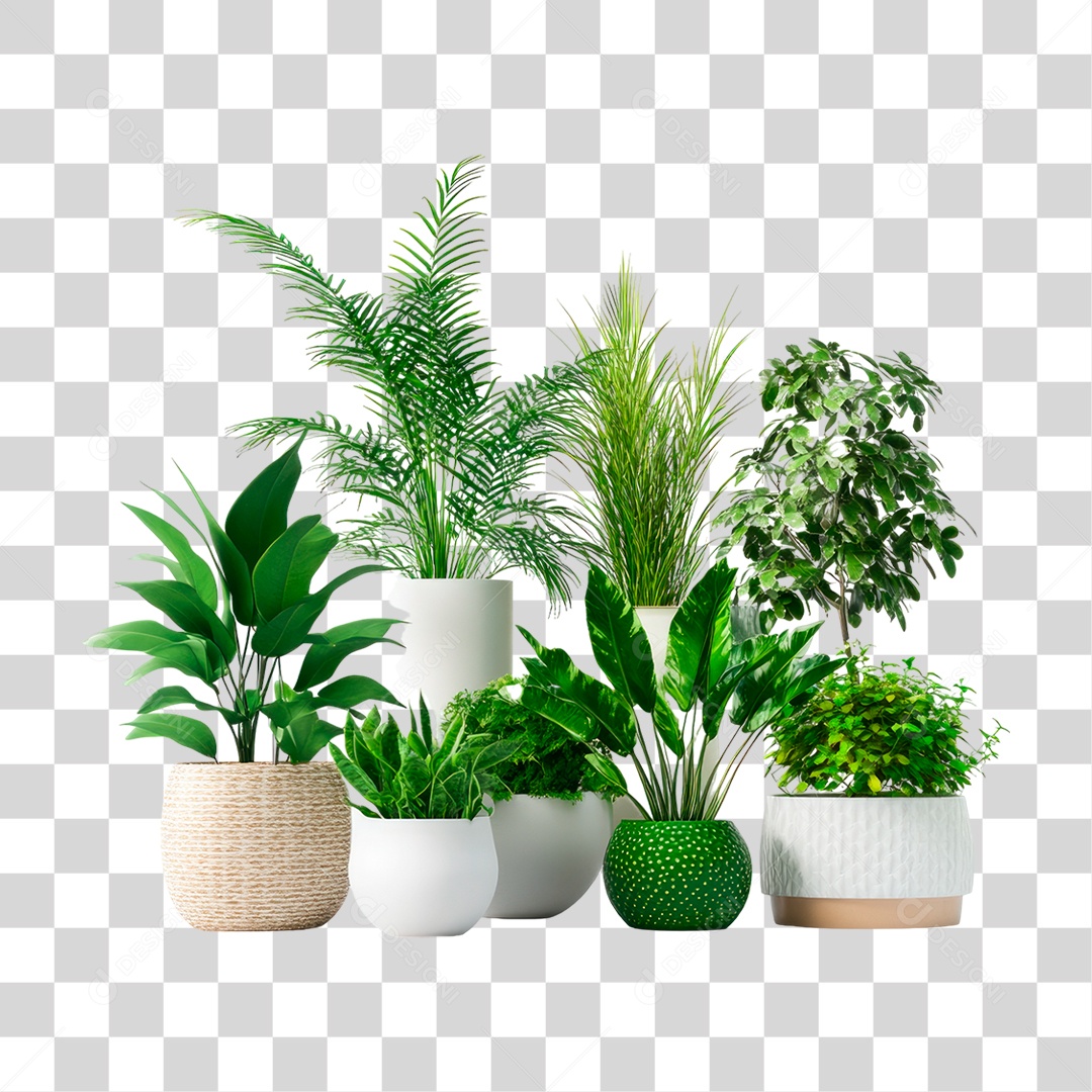 Vasos de Plantas PNG Transparente