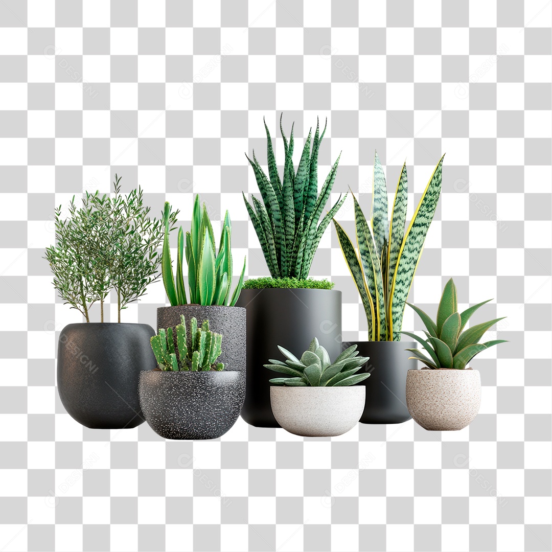 Vasos de Plantas PNG Transparente