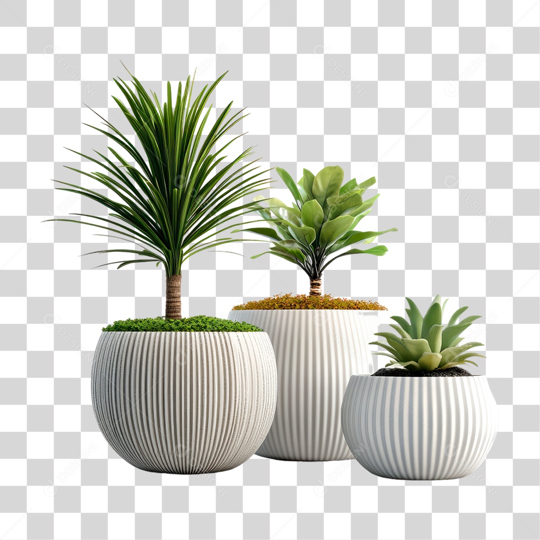 Vasos de Plantas PNG Transparente