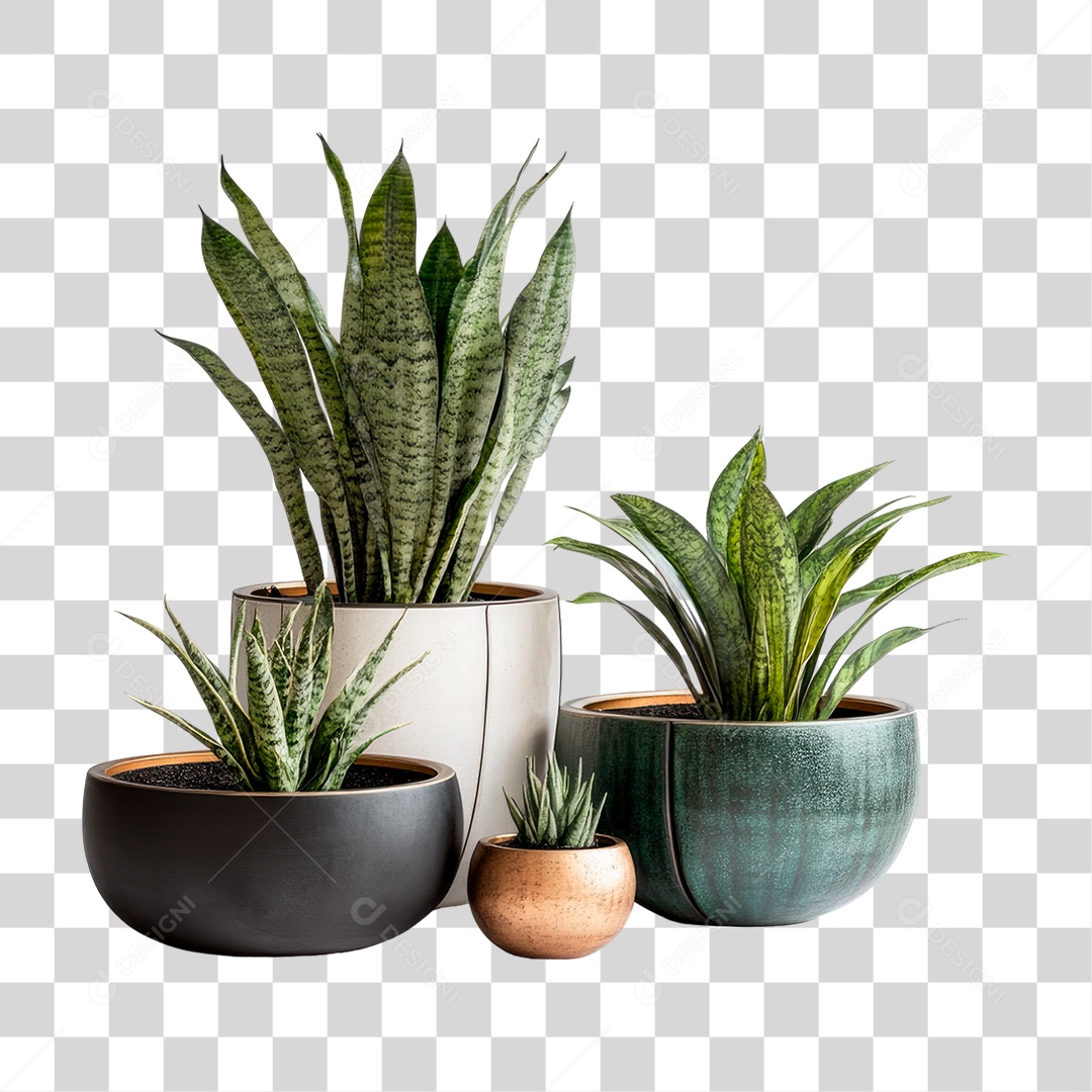 Vasos de Plantas PNG Transparente