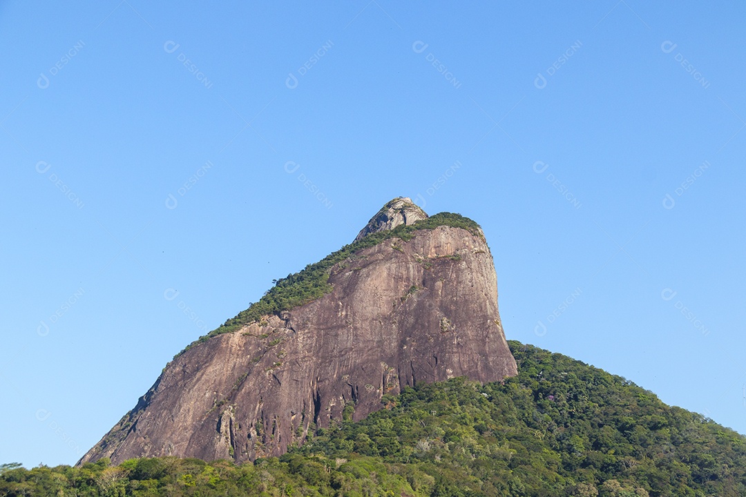 Monte com muita matas