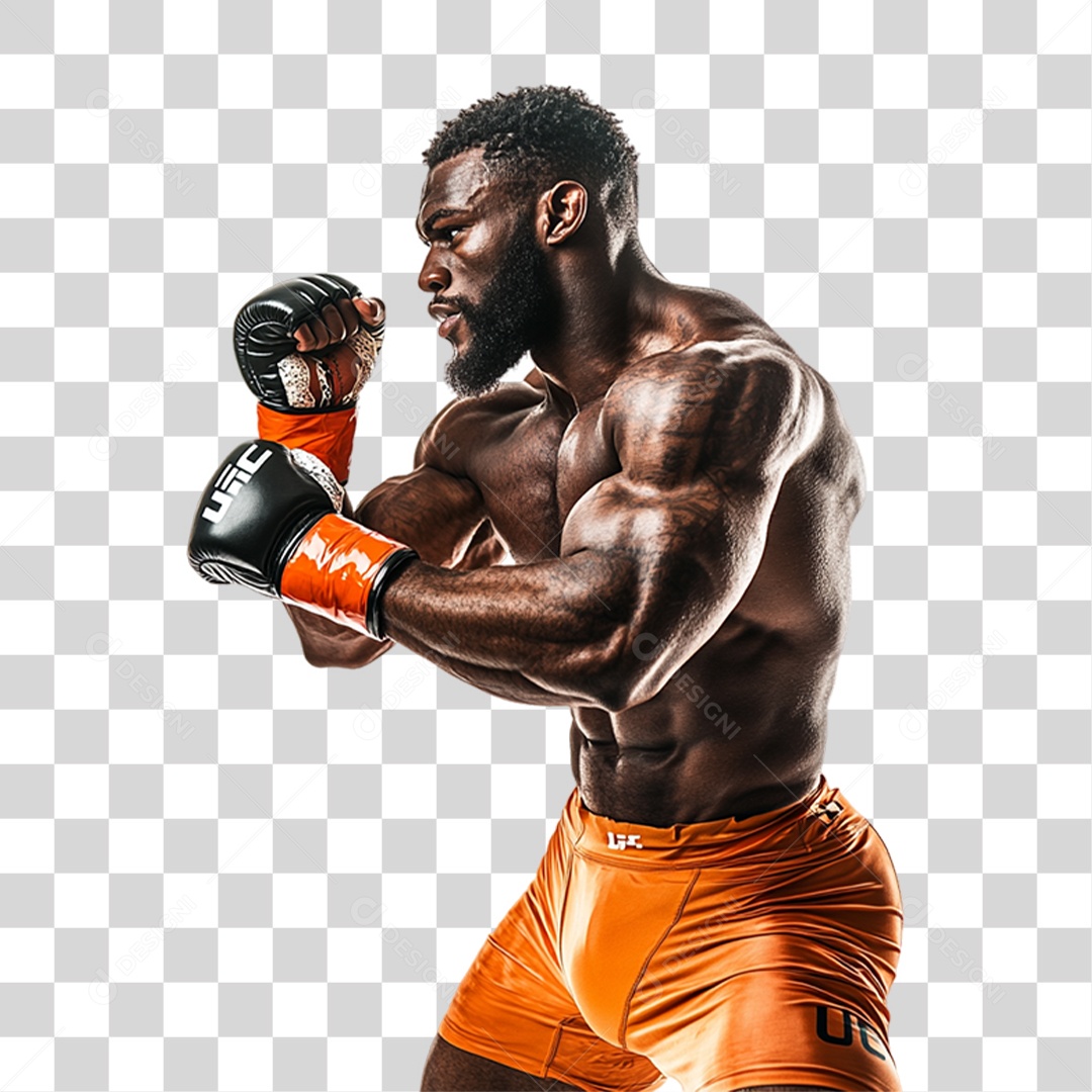 Lutadores Lutas PNG Transparente