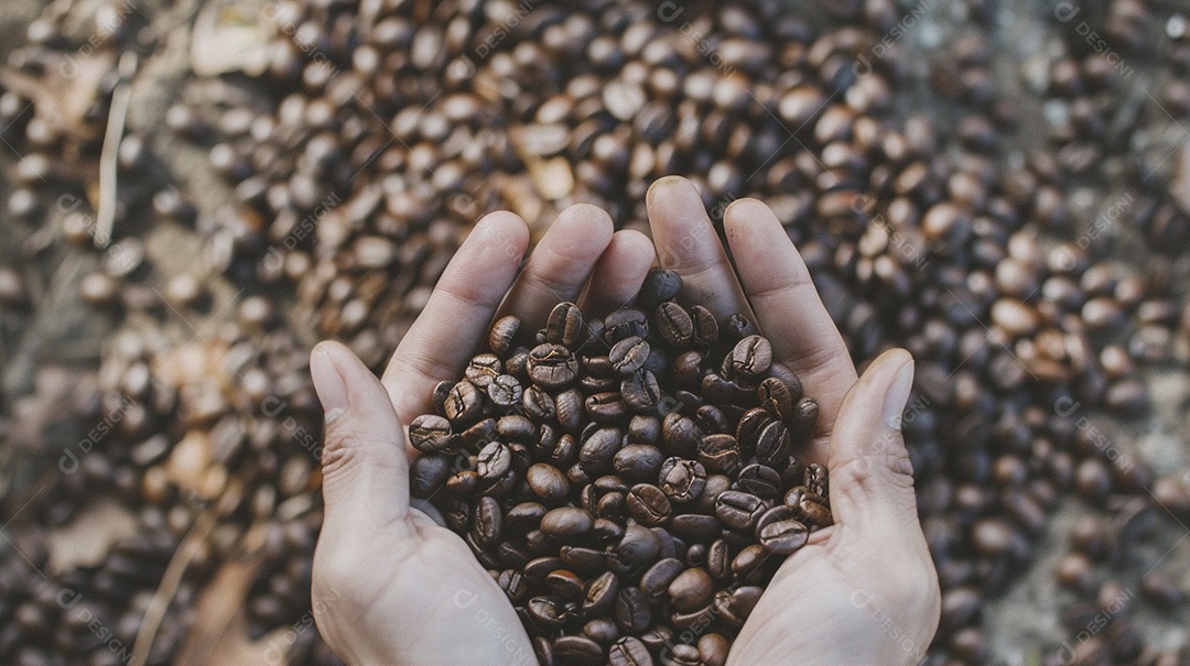 Mãos cinematográficas segurando grãos de café torrados premium