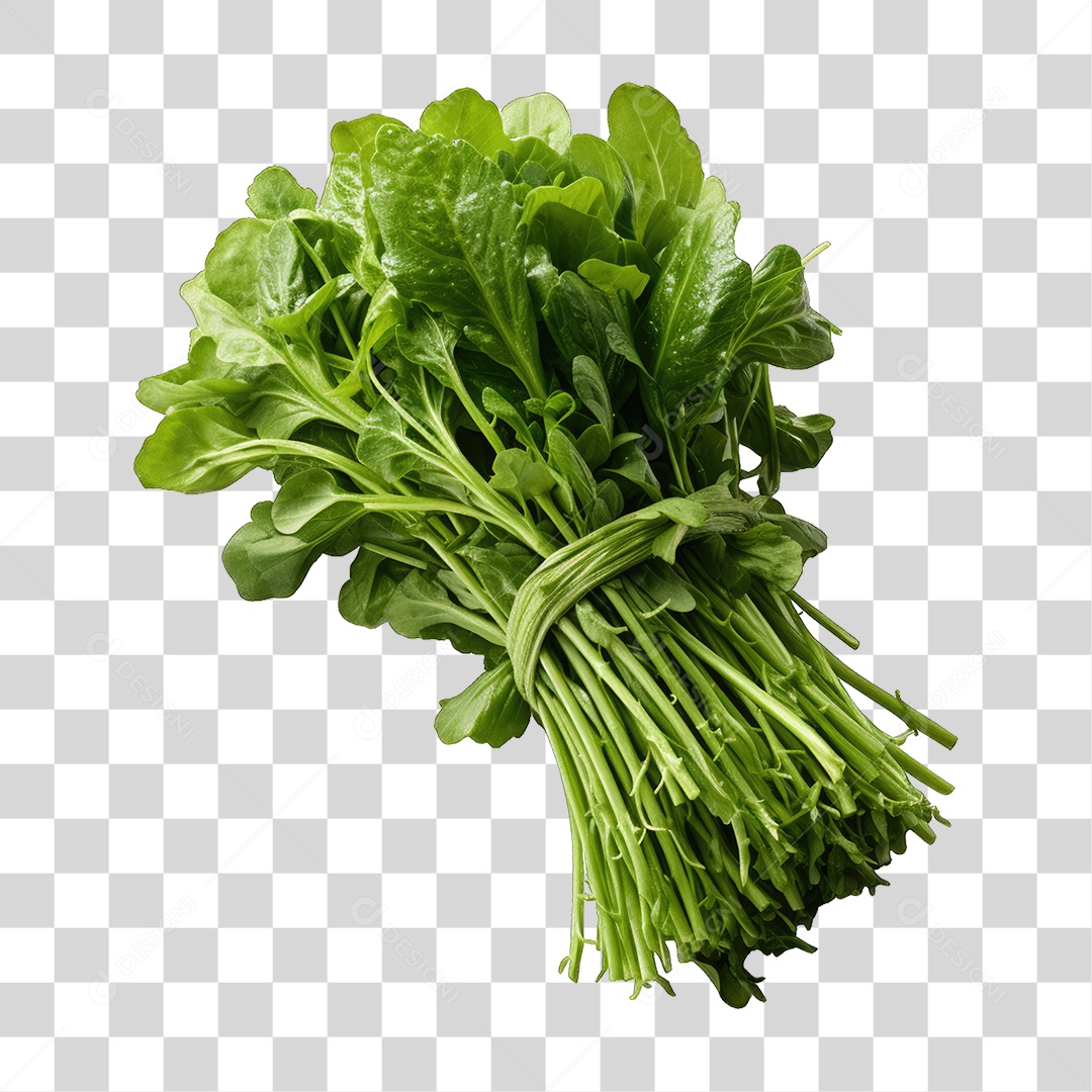 Folhas Vegetais PNG Transparente