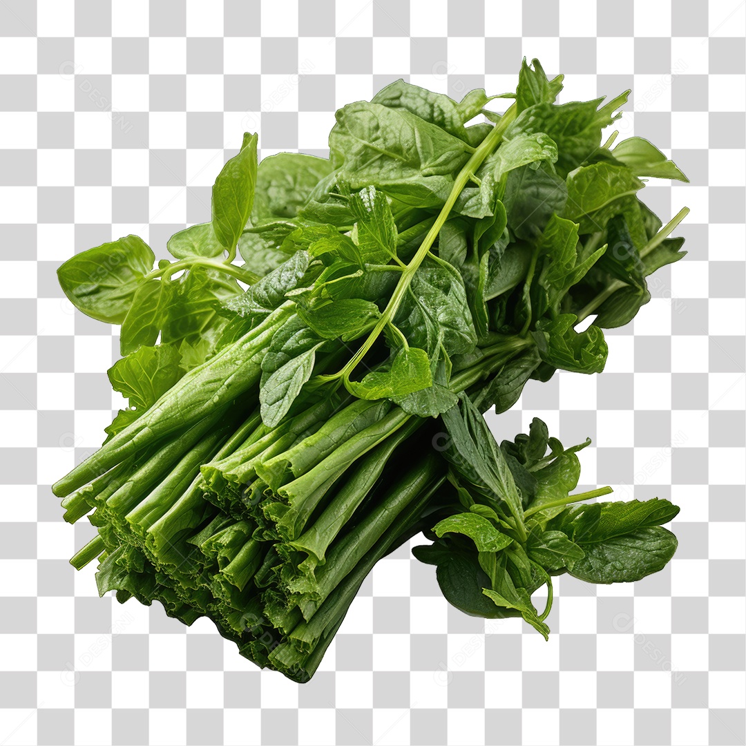 Folhas Vegetais PNG Transparente