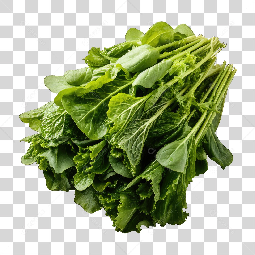 Folhas Vegetais PNG Transparente