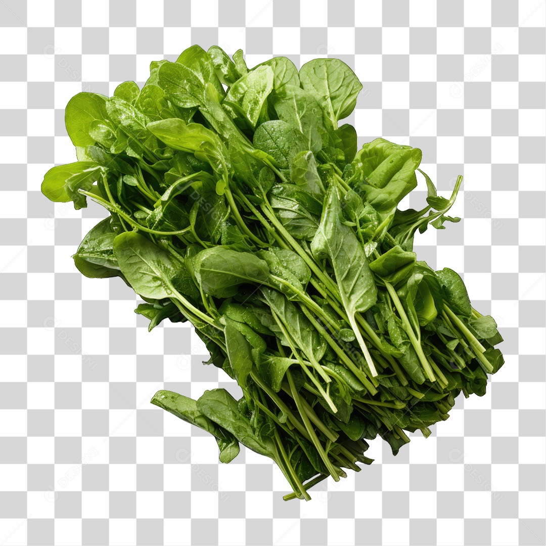 Folhas Vegetais PNG Transparente