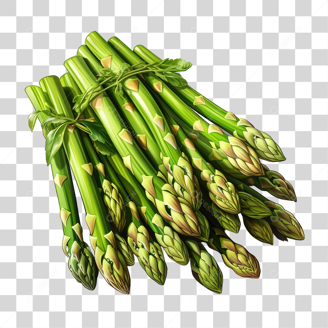 Folhas Vegetais PNG Transparente