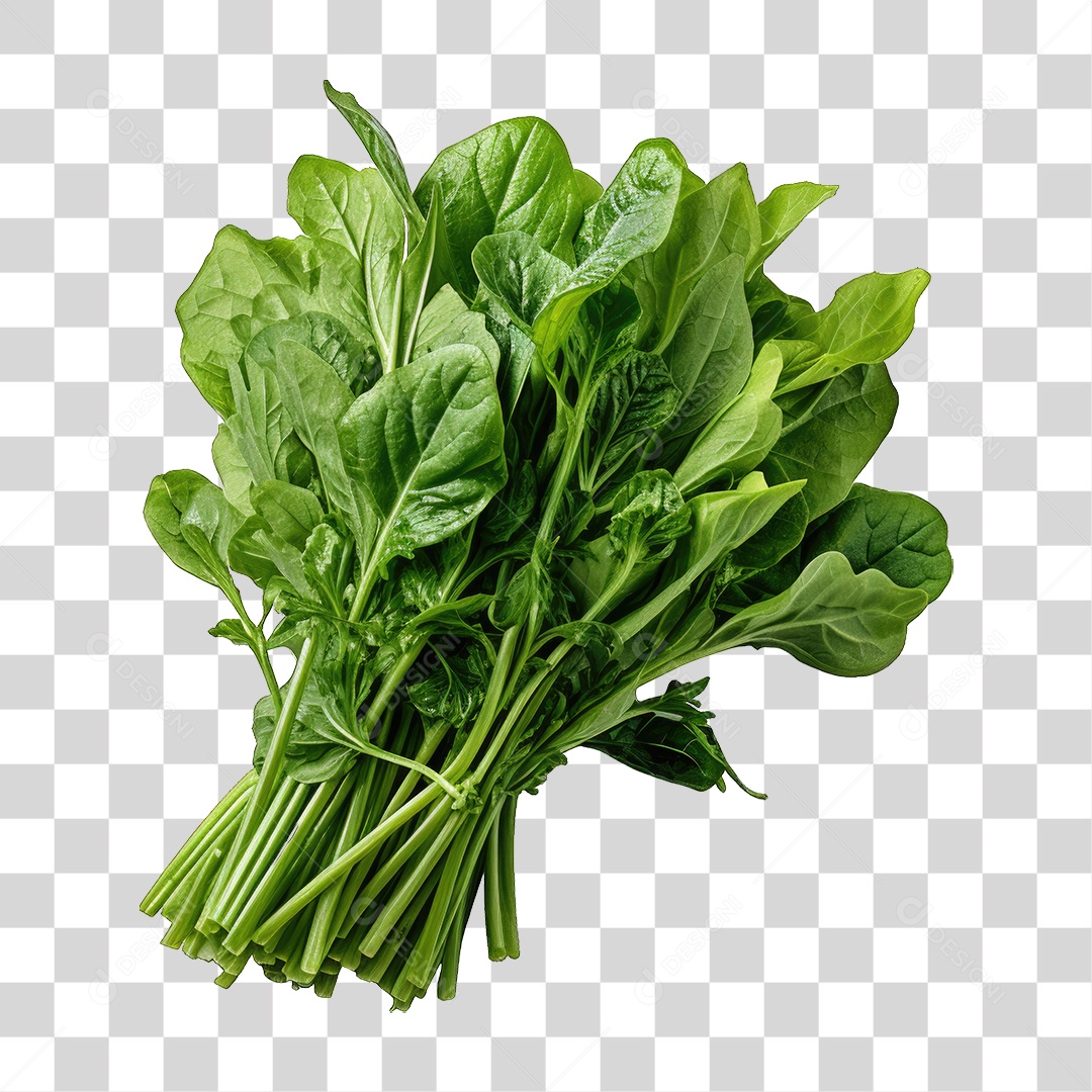 Folhas Vegetais PNG Transparente