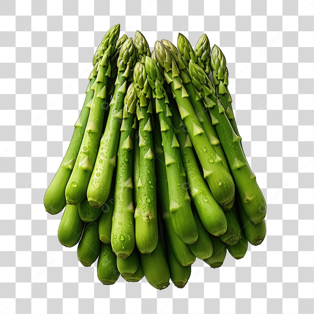 Folhas Vegetais PNG Transparente