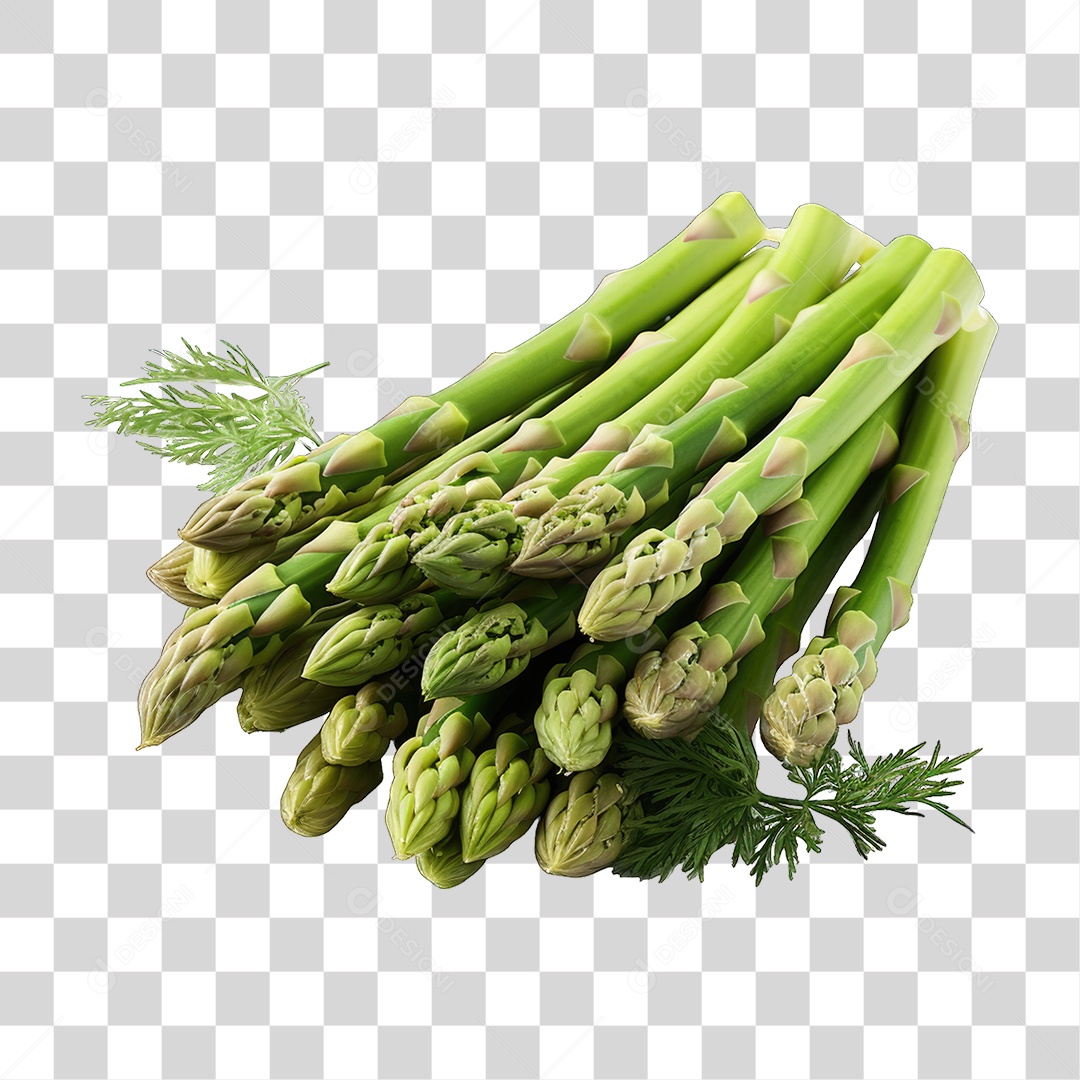 Folhas Vegetais PNG Transparente