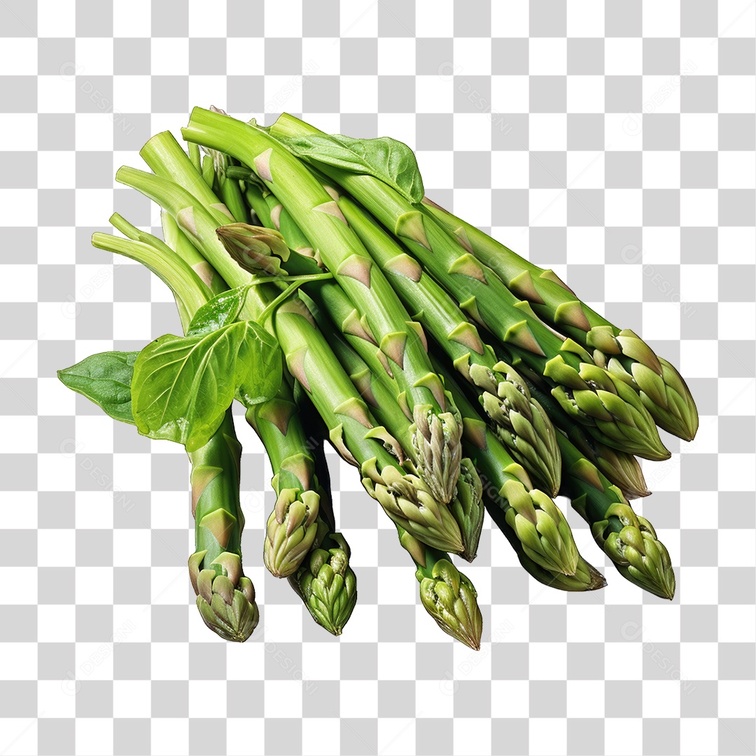 Folhas Vegetais PNG Transparente