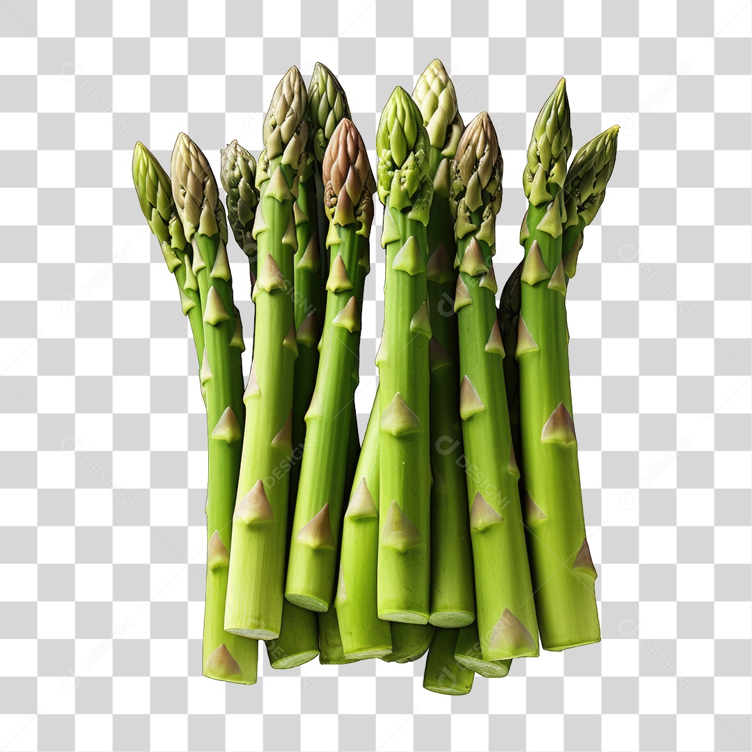 Folhas Vegetais PNG Transparente