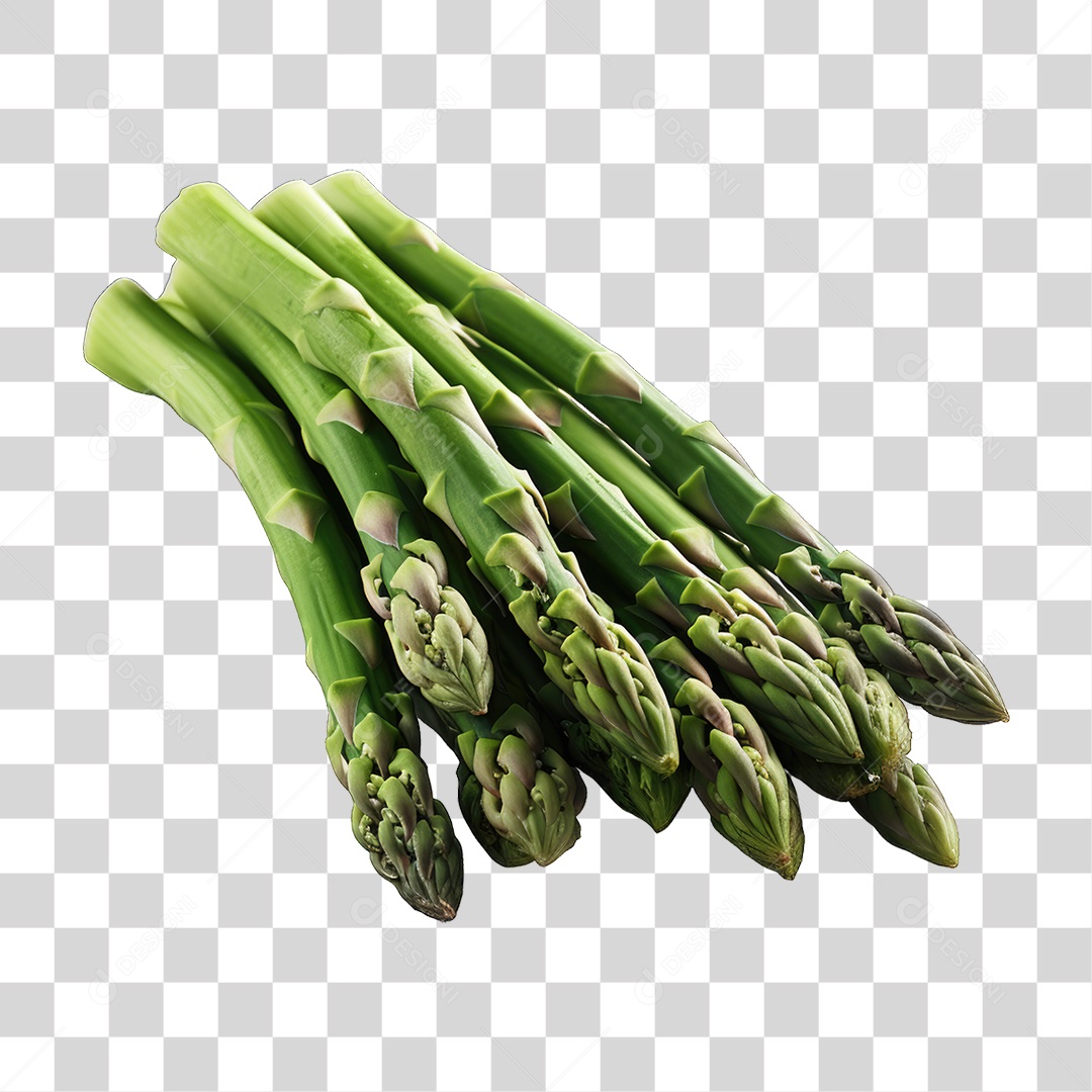 Folhas Vegetais PNG Transparente