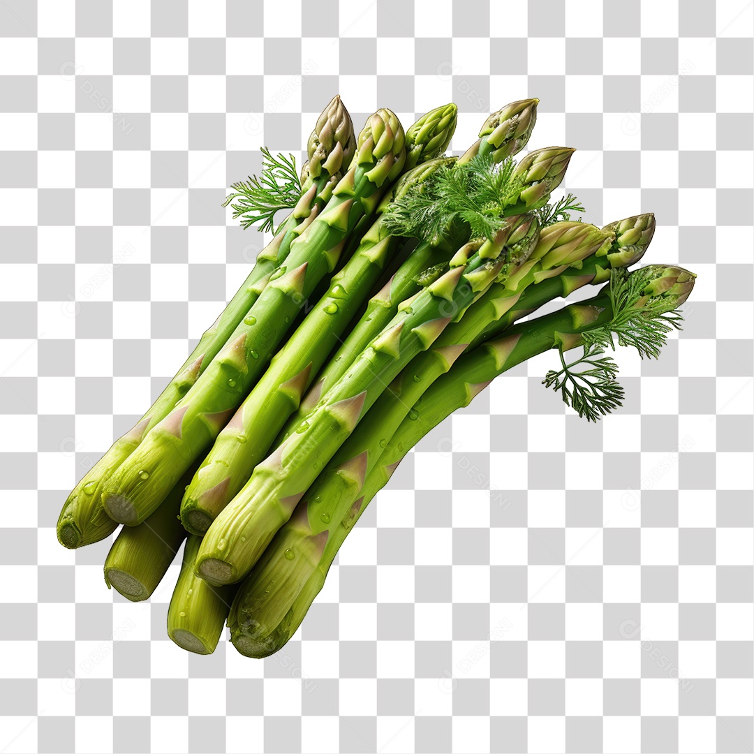 Folhas Vegetais PNG Transparente