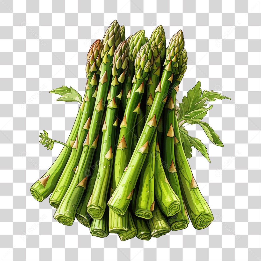 Folhas Vegetais PNG Transparente