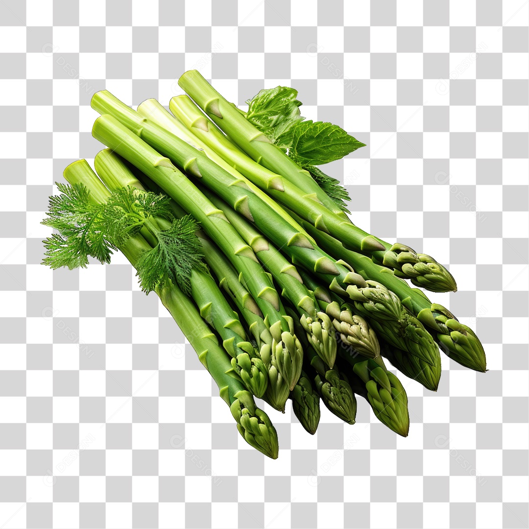 Folhas Vegetais PNG Transparente