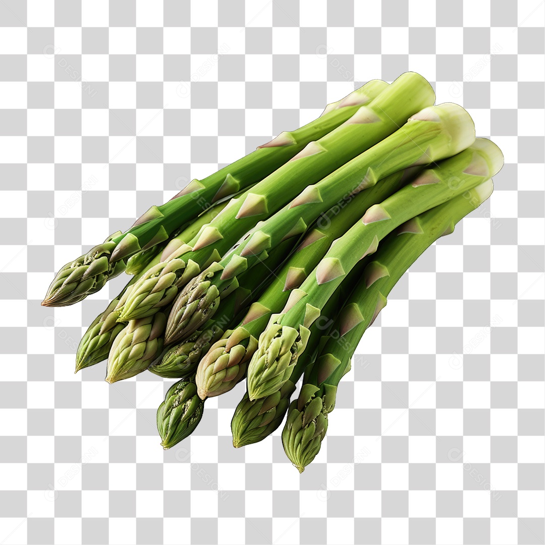 Folhas Vegetais PNG Transparente