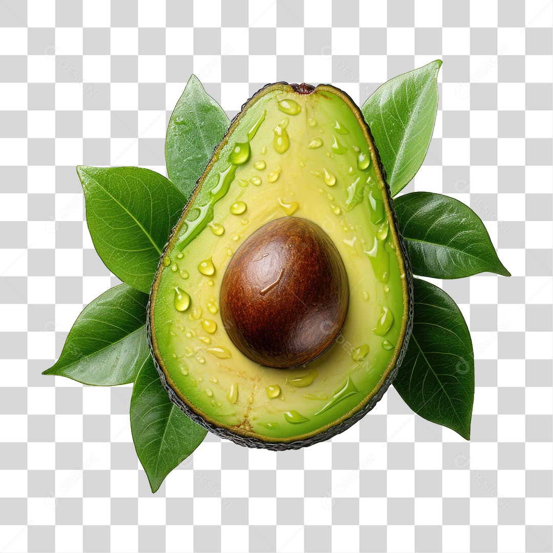 Fruit Avocado PNG Transparent