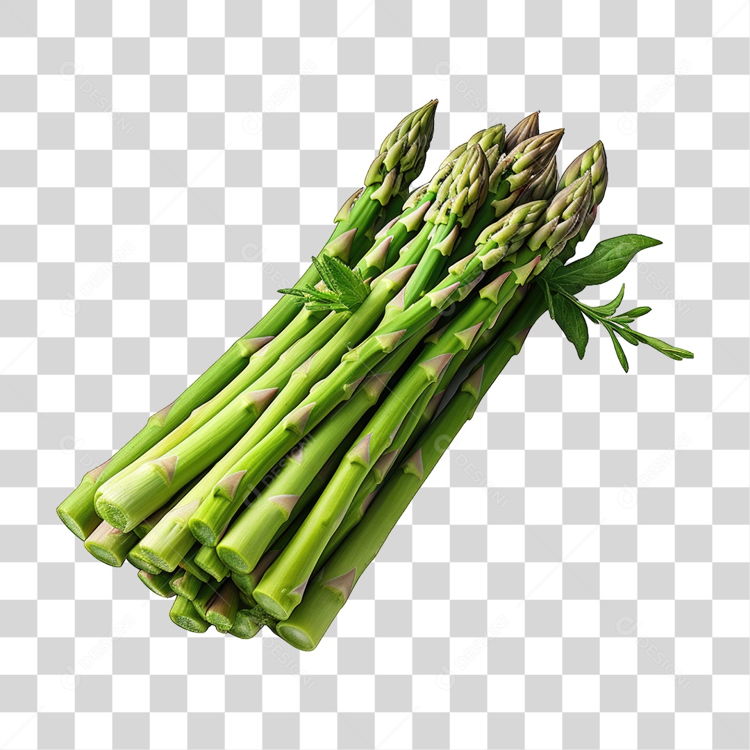 Folhas Vegetais PNG Transparente