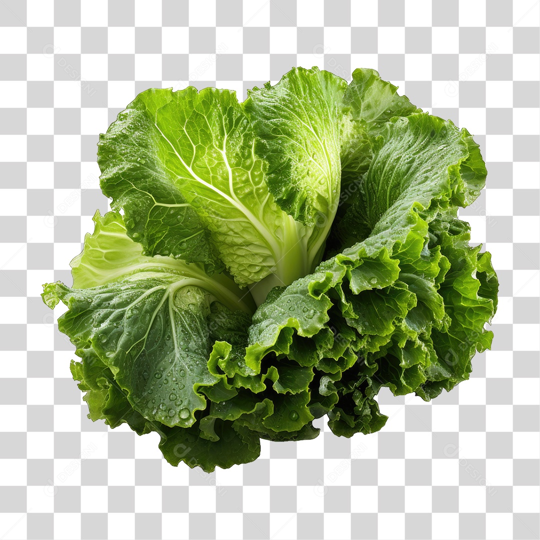 Alimento Folhas Vegetais PNG Transparente