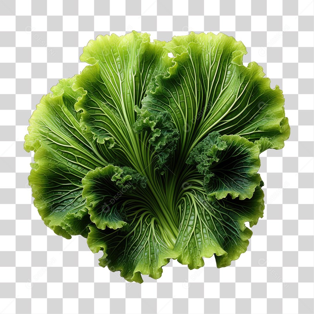 Alimento Folhas Vegetais PNG Transparente