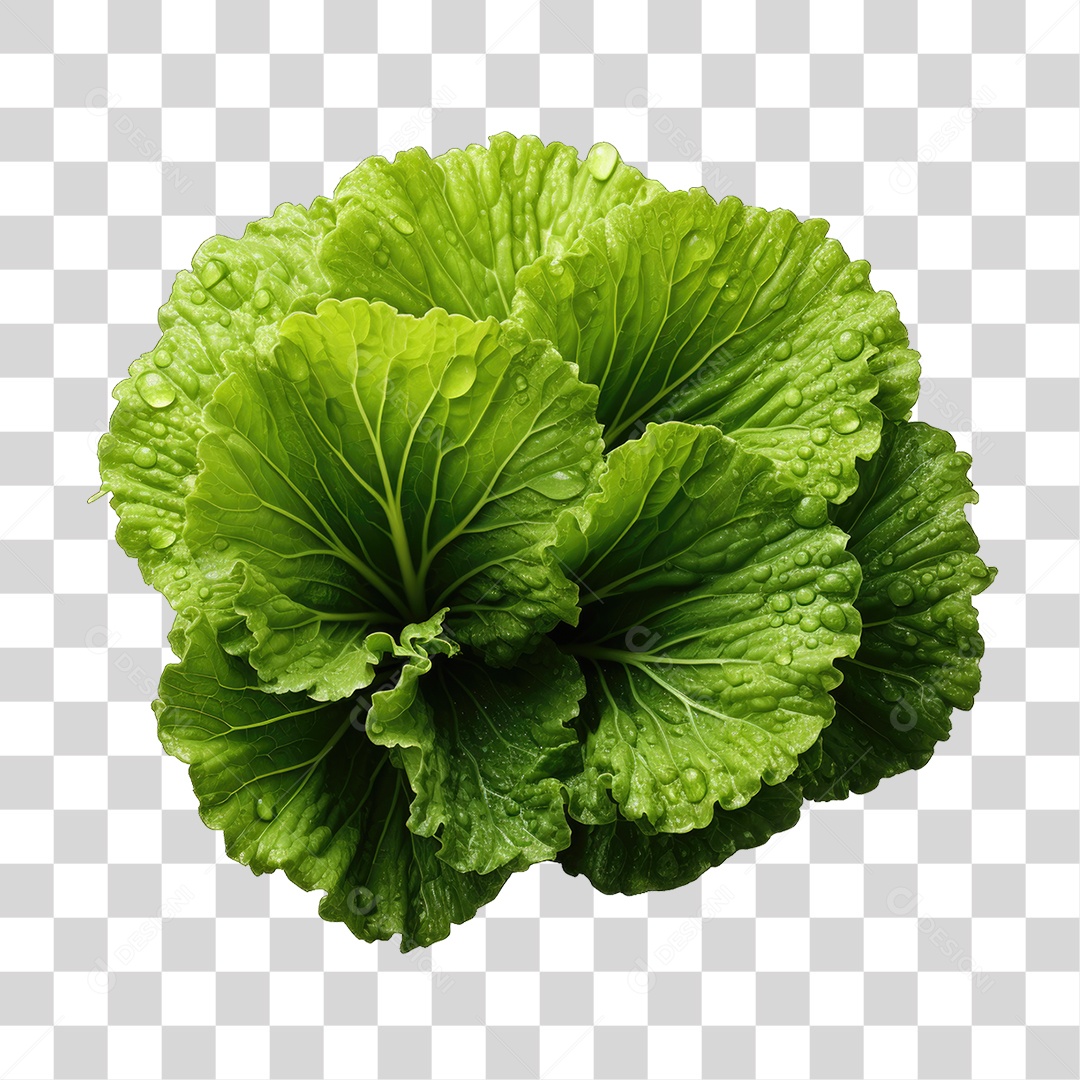 Alimento Folhas Vegetais PNG Transparente