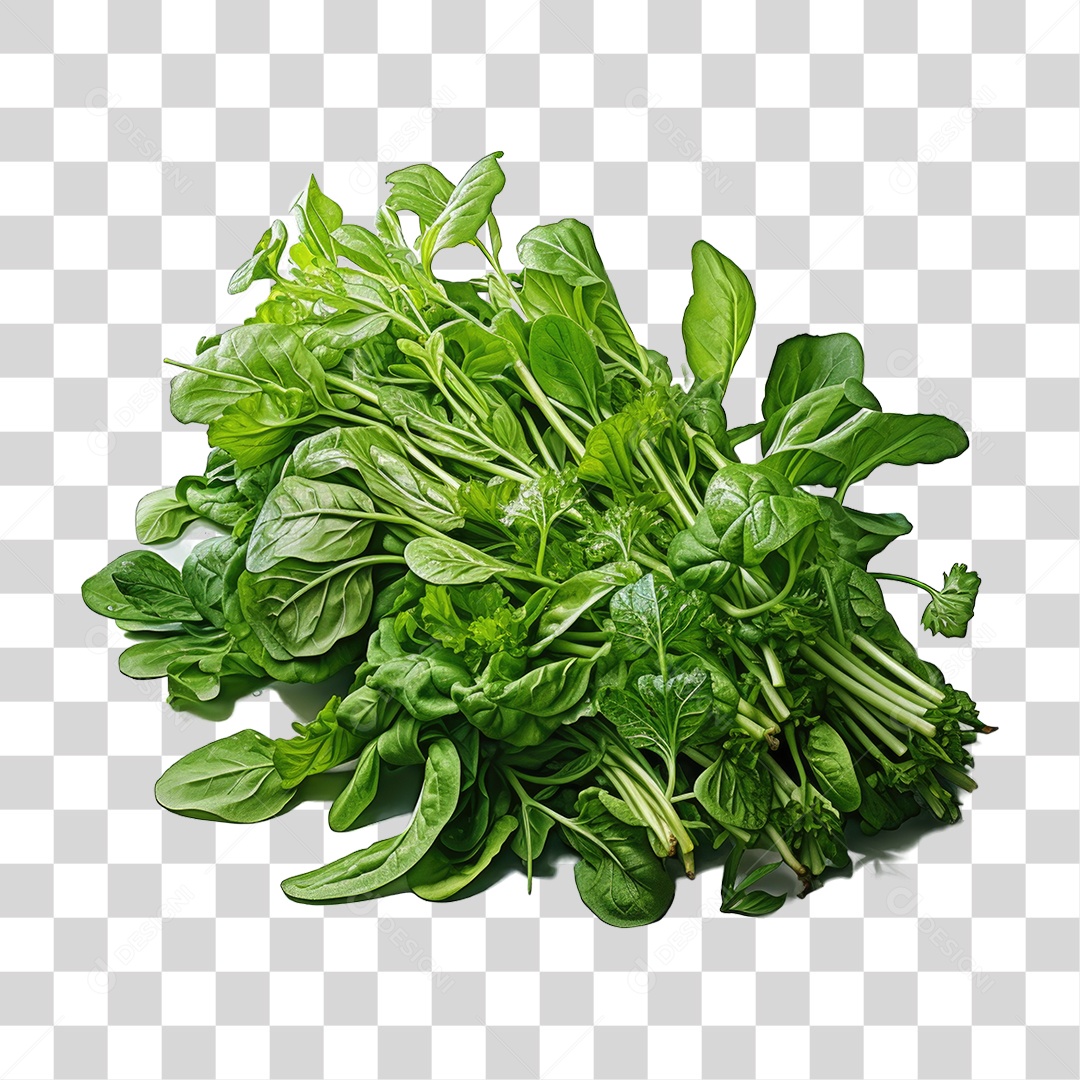 Alimento Folhas Vegetais PNG Transparente